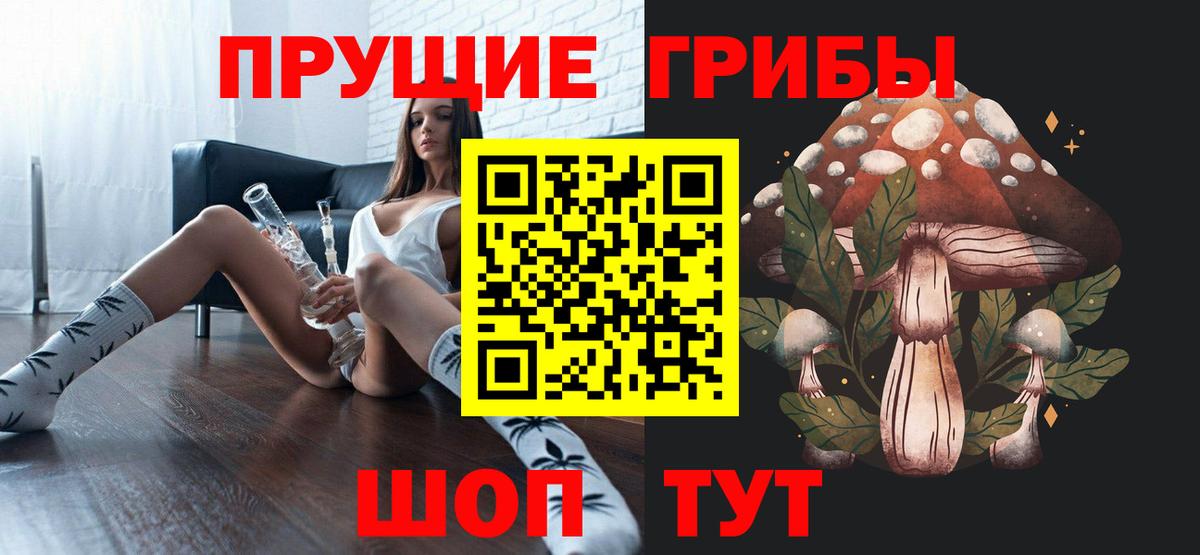 закладки  Вход с VPN  Владимир  Галлюциногенные грибы Cubensis 