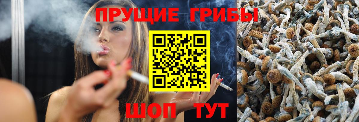 Псилоцибиновые грибы GOLDEN TEACHER Владимир